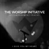 Shane & Shane - I Give You My Heart (The Worship Initiative Accompaniment) - Single